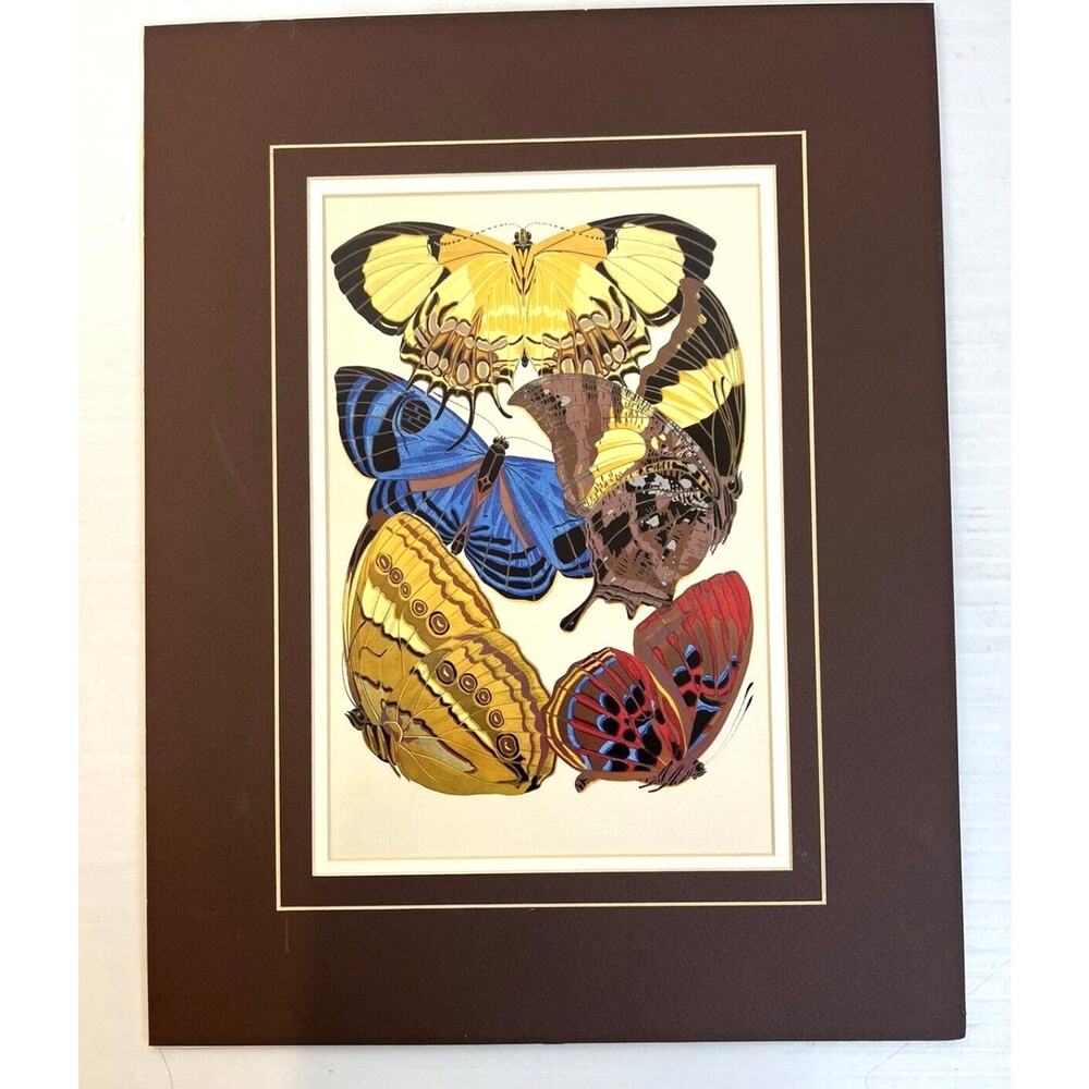 Butterfly Print Matted Brown Blue Yellow Nature 18" x 14" Home Decor Traditional